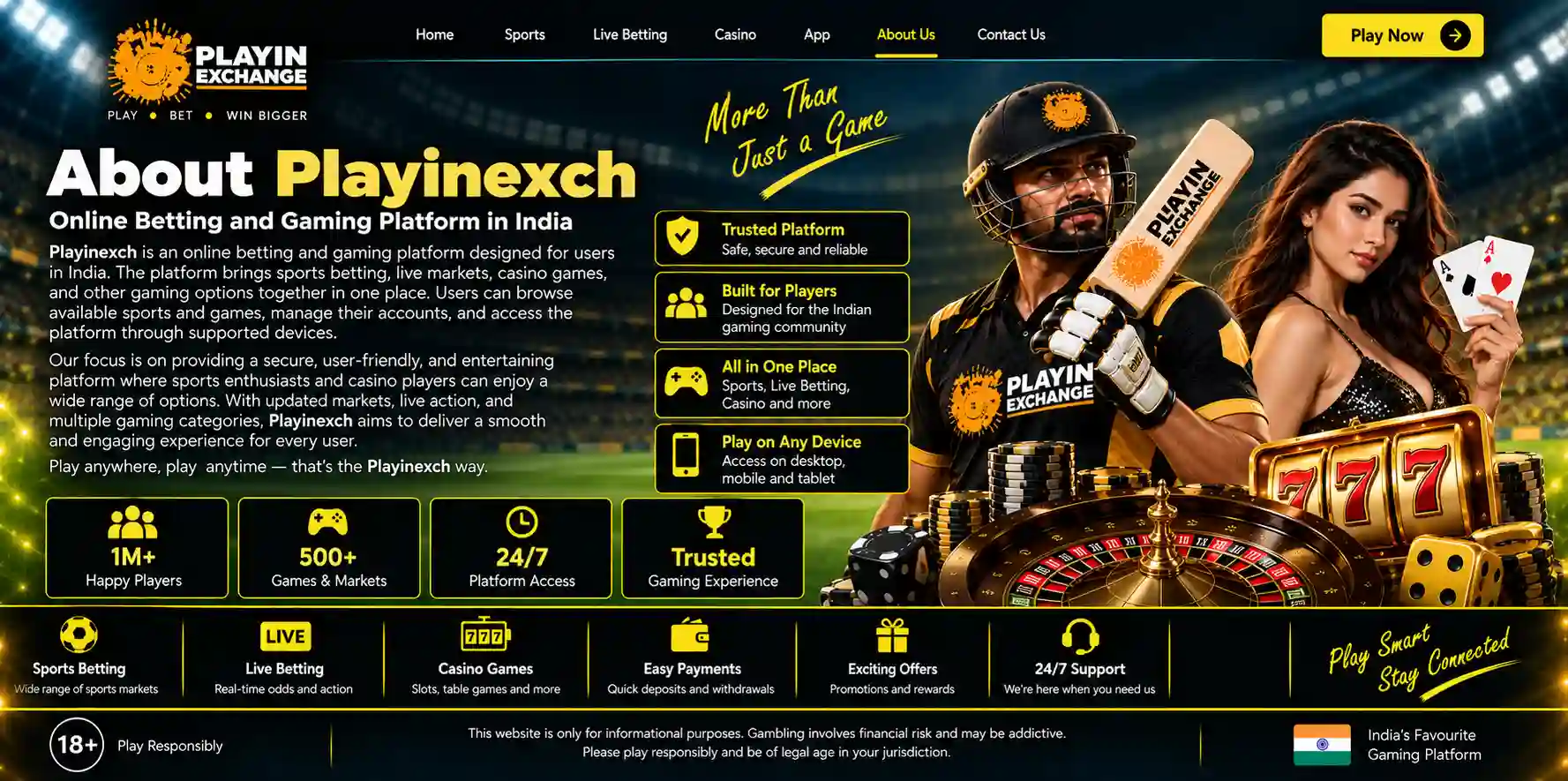 About Playinexch Online Betting and Gaming Platform in India